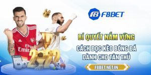 Bí Quyết Nắm Vững Cách Đọc Kèo Bóng Đá Dành Cho Tân Thủ